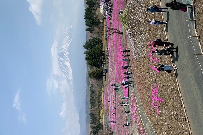 Private Tour to Mt. Fuji and Hakone (Fully Licenced Operator) - Pacing on a 10-Hour Private Day: Comfort Without the Rush