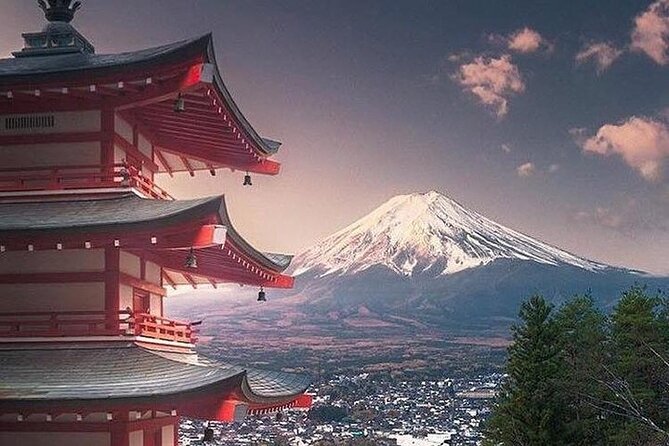 Private Tour to Mt. Fuji and Hakone (Fully Licenced Operator) - Who This Tour Fits Best (and Who Should Rethink It)