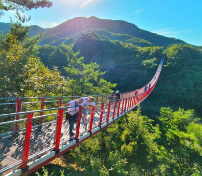 Seoul: DMZ, 3rd Tunnel and Optional Suspension Bridge Tour - The 7–9 hour schedule: halfday DMZ vs full-day with a suspension bridge