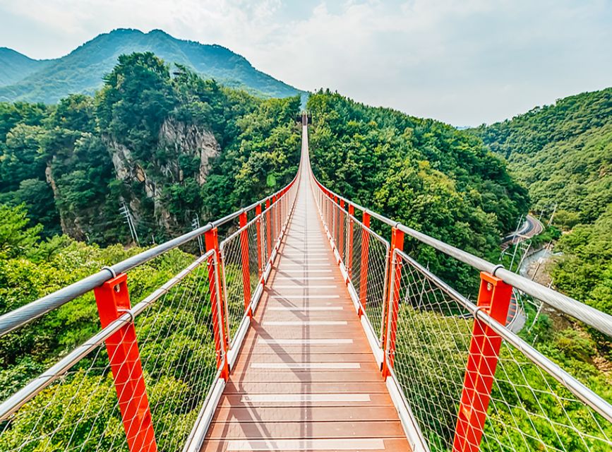 Seoul: DMZ, 3rd Tunnel and Optional Suspension Bridge Tour - Entering the DMZ: what the guided time is like