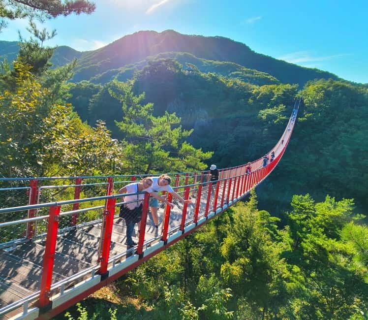 Seoul: DMZ, 3rd Tunnel and Optional Suspension Bridge Tour - The 7–9 hour schedule: halfday DMZ vs full-day with a suspension bridge