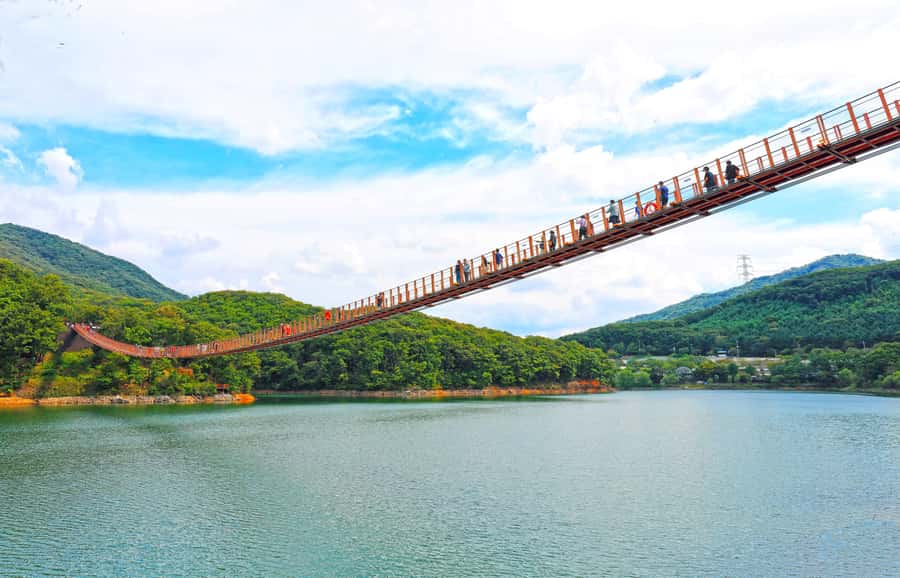 Seoul: DMZ Tour & Suspension Bridge (Option English/Spanish) - Key things to know before you go