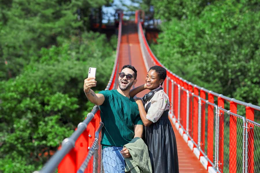 Seoul: DMZ Tour & Suspension Bridge (Option English/Spanish) - Dora Observatory: the best view, with the most patience
