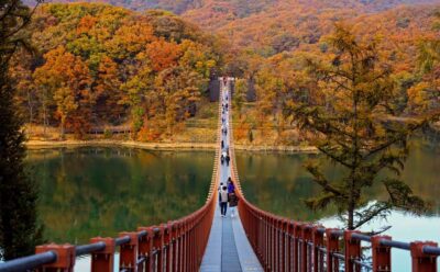 Seoul: DMZ Tour & Suspension Bridge (Option English/Spanish) - The morning plan: Imjingak Park, Freedom Bridge, and the tunnel