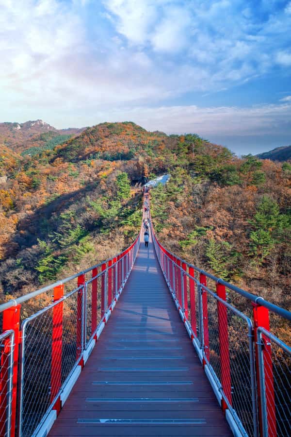 Seoul: DMZ Tour & Suspension Bridge (Option English/Spanish) - Price and value: what $35 buys you in real-world terms