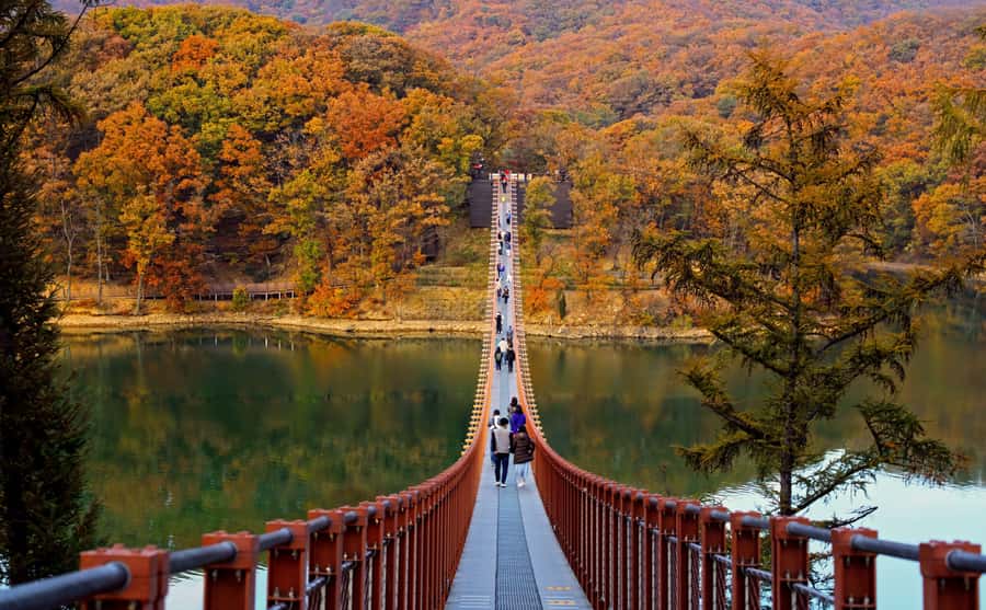 Seoul: DMZ Tour & Suspension Bridge (Option English/Spanish) - The morning plan: Imjingak Park, Freedom Bridge, and the tunnel