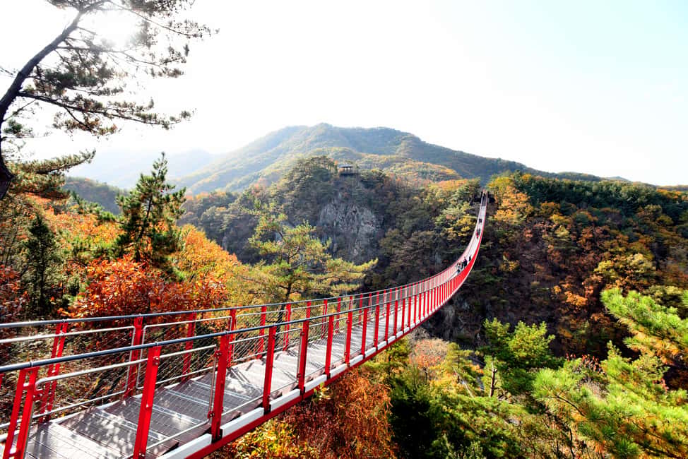 Seoul: The Best DMZ Tour with Optional Suspension Bridge - Key highlights you’ll feel right away