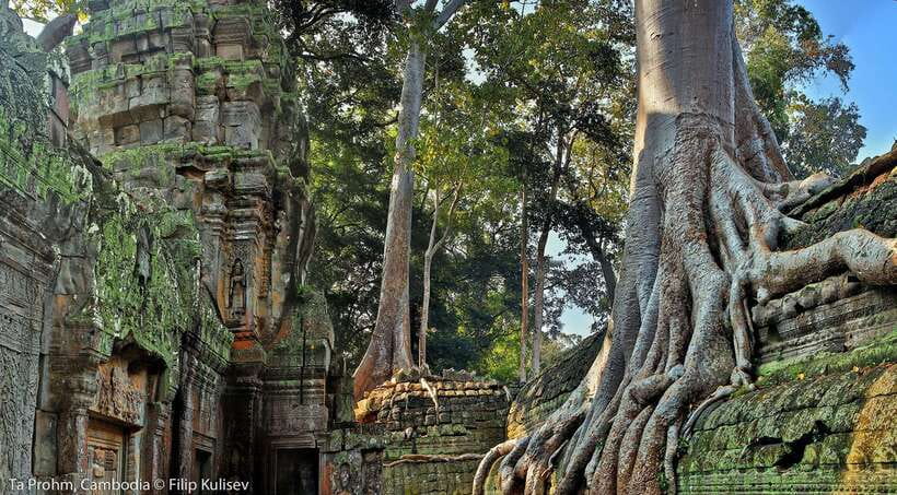 Siem Reap: Angkor Wat: Small-Group Sunrise or Sunset Tour - Angkor Wat Sunrise: the whole reason this tour works