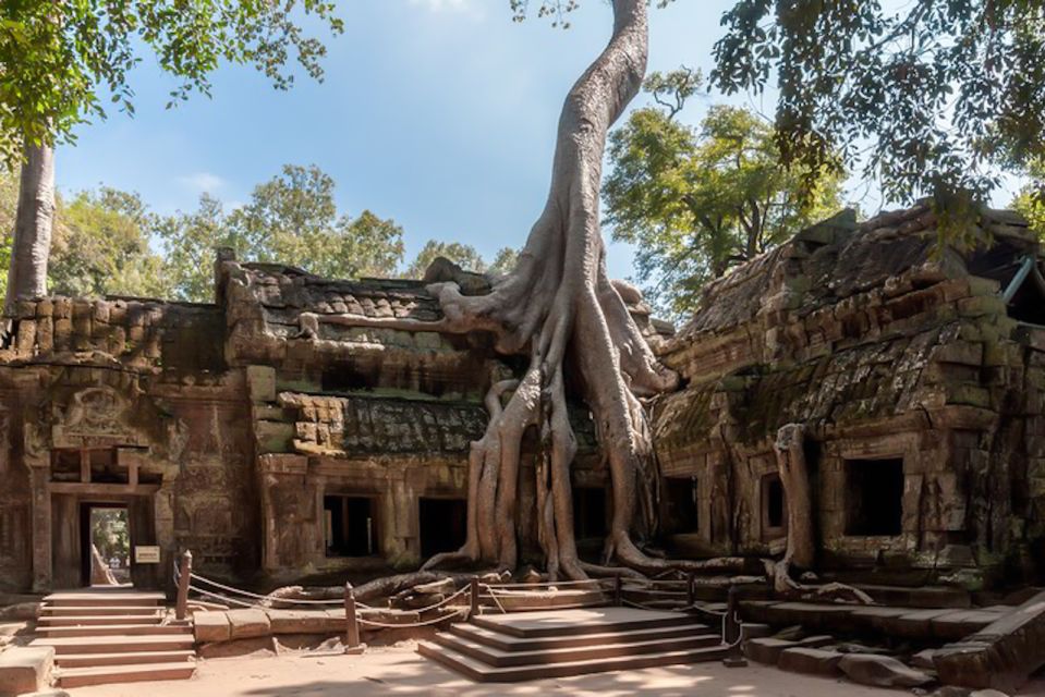 Siem Reap: Angkor Wat Sunrise and Full-Day Sightseeing Tour - Transport, timing, and comfort: why this tour format works in the heat