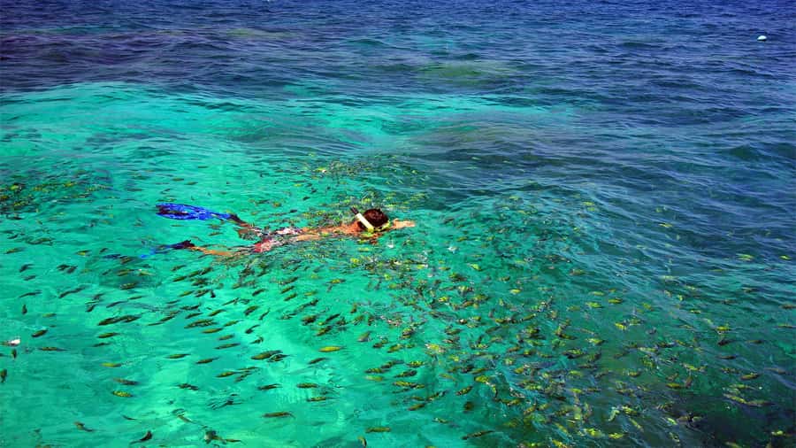 Similan Islands Early-Bird Tour From Phuket and Khao Lak! - Speedboat reality: fast, a little rough, and not for everyone