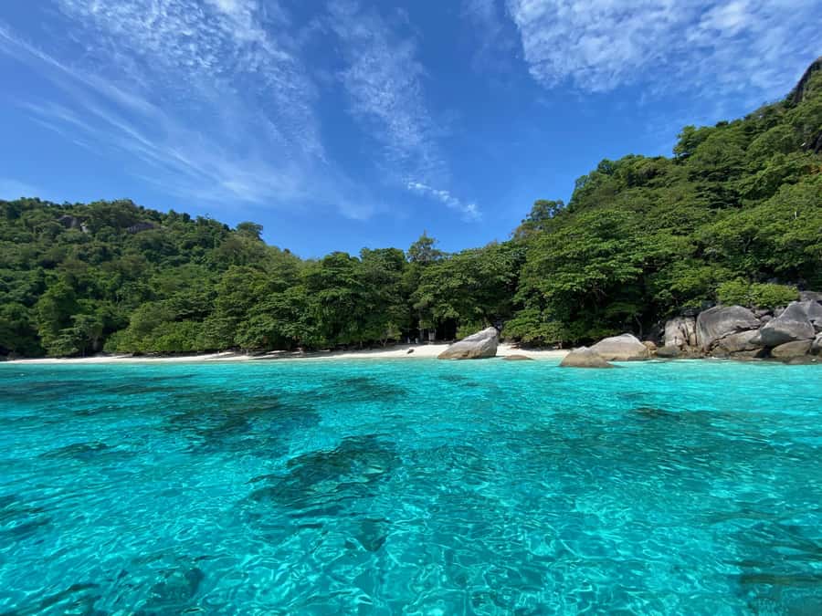 Similan Islands Early-Bird Tour From Phuket and Khao Lak! - Snorkeling at three locations: how to make turtle time happen