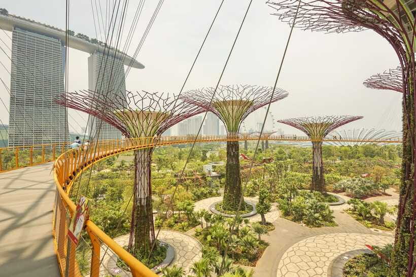 Singapore: Gardens by the Bay Admission E-Ticket - Cloud Forest: misty air, the big indoor waterfall, and Hidden Forest