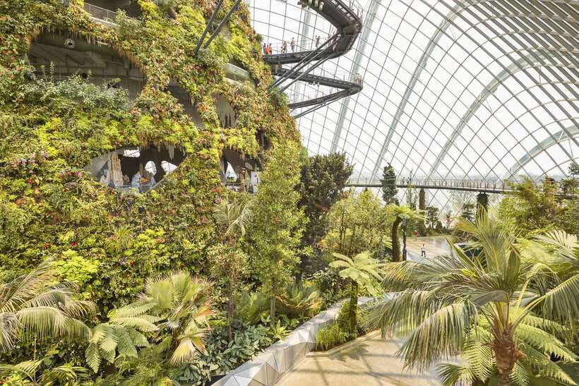 Singapore: Gardens by the Bay Admission E-Ticket - Planning your day around Supertree Grove and Garden Rhapsody