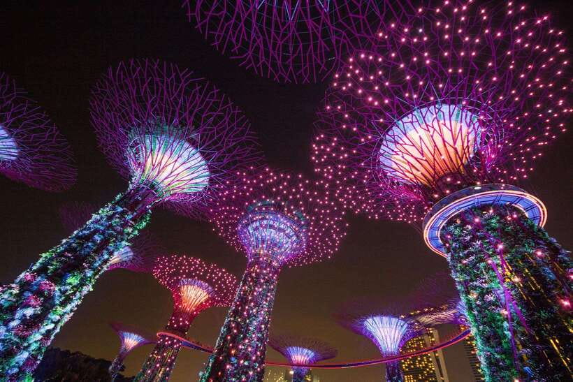 Singapore: Gardens by the Bay Bundle Entry Ticket - Why this $7 Gardens by the Bay bundle can be a smart Singapore move