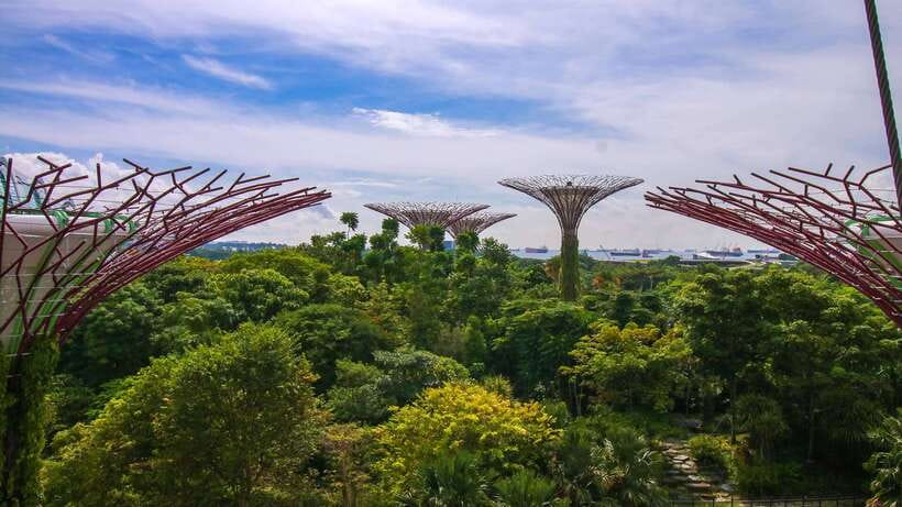 Singapore: Gardens by the Bay Bundle Entry Ticket - Cloud Forest: the misty break with the 35-meter indoor waterfall