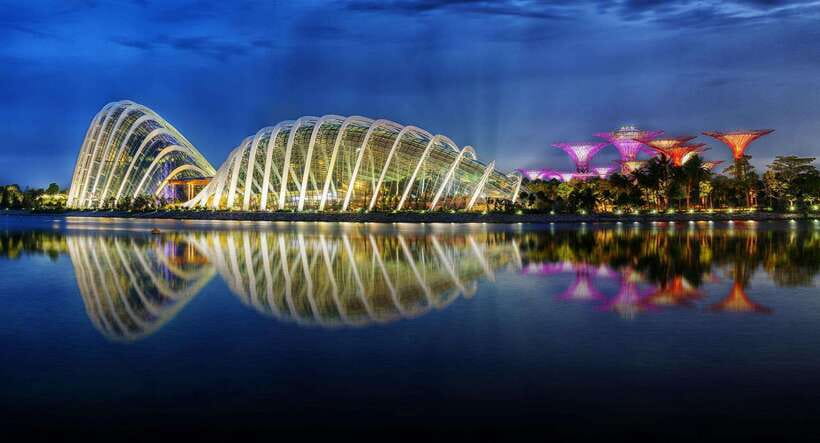 Singapore: Gardens by the Bay Bundle Entry Ticket - Supertree Observatory: skyline views plus the best photo angle