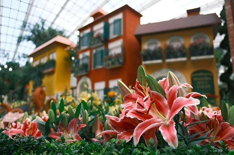 Singapore: Gardens by the Bay Bundle Entry Ticket - Floral Fantasy and the MY LITTLE PONY display (limited-time)