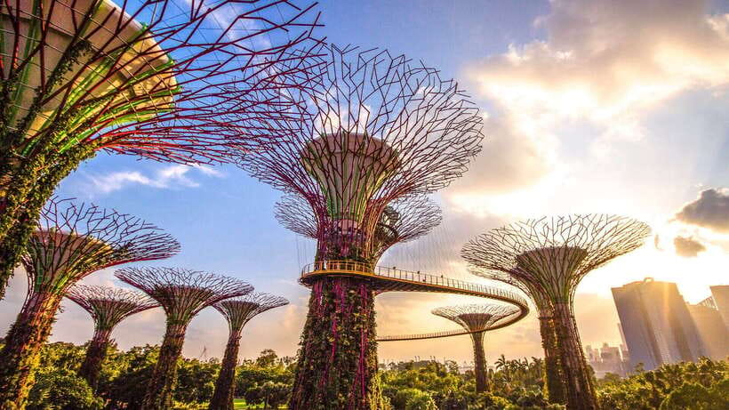 Singapore: Gardens by the Bay Bundle Entry Ticket - Flower Dome: your plant world tour under one glass roof