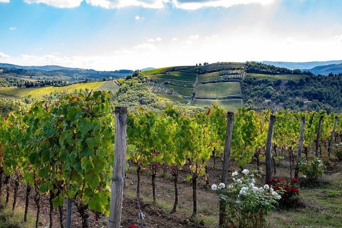 SMALL-GROUP Wine Safaris: Tuscan Wine Tasting Tours from Florence - Key highlights worth planning for