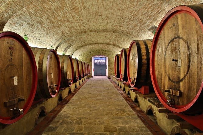 SMALL-GROUP Wine Safaris: Tuscan Wine Tasting Tours from Florence - The big idea: a wine day that feels like Tuscany, not a checklist