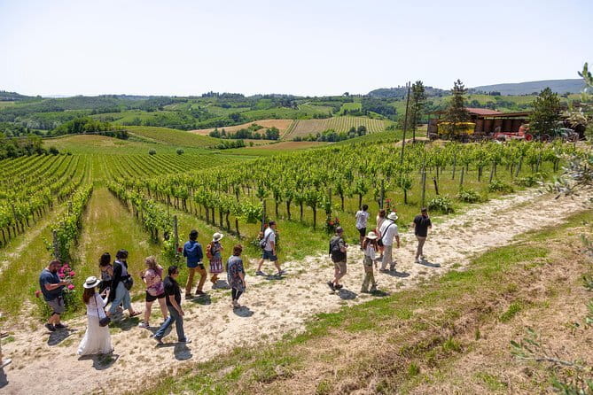 SMALL-GROUP Wine Safaris: Tuscan Wine Tasting Tours from Florence - Sunset Chianti with dinner: golden hour views plus an al fresco finish