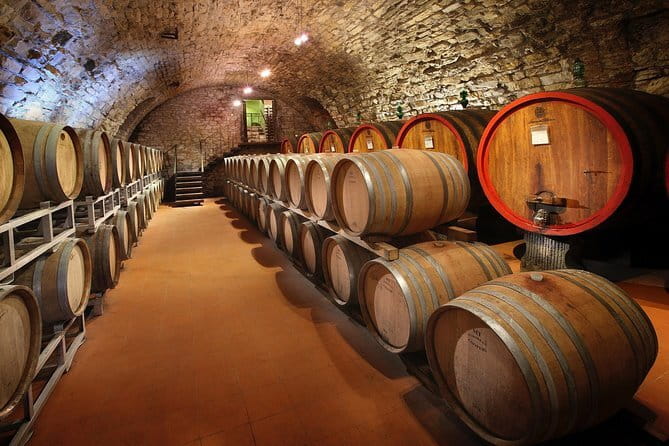 Small-Group Wine Tasting Experience in the Tuscan Countryside - First Winery Stop in Chianti Classico: Vineyards, Barrels, and Olive Oil
