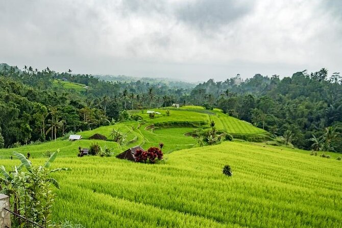 Tanah Lot and North Bali Tour: Scenic Journey - Wanagiri Hidden Hills: the extra viewpoint you’ll appreciate