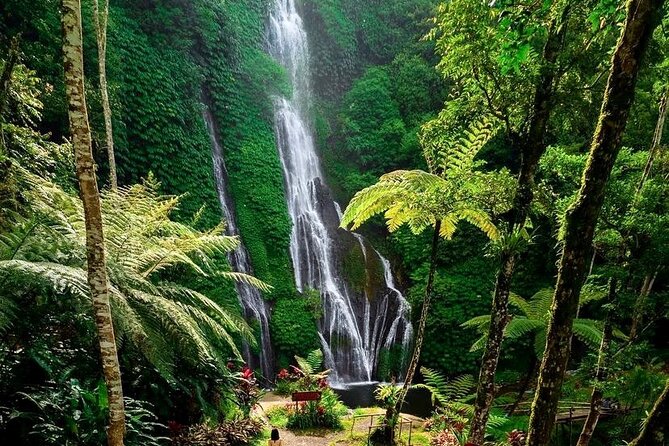 Tanah Lot and North Bali Tour: Scenic Journey - Banyumala Twin Waterfalls: swimming is tempting, but plan for the hike