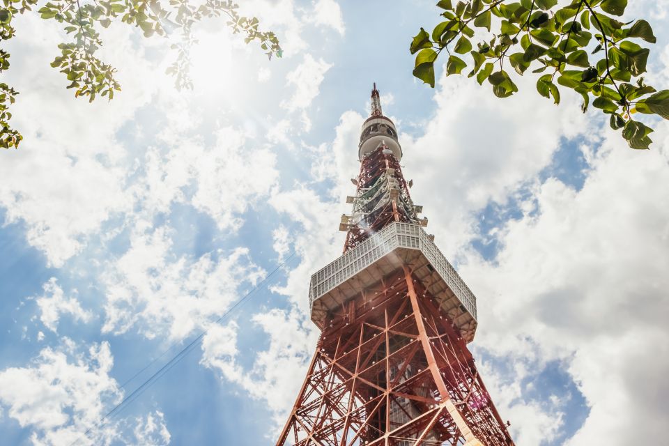 Tokyo: Hop-On Hop-Off Sightseeing Bus Ticket - Route 3: Shinjuku and Shibuya with Harajuku/Meiji Jingu stops