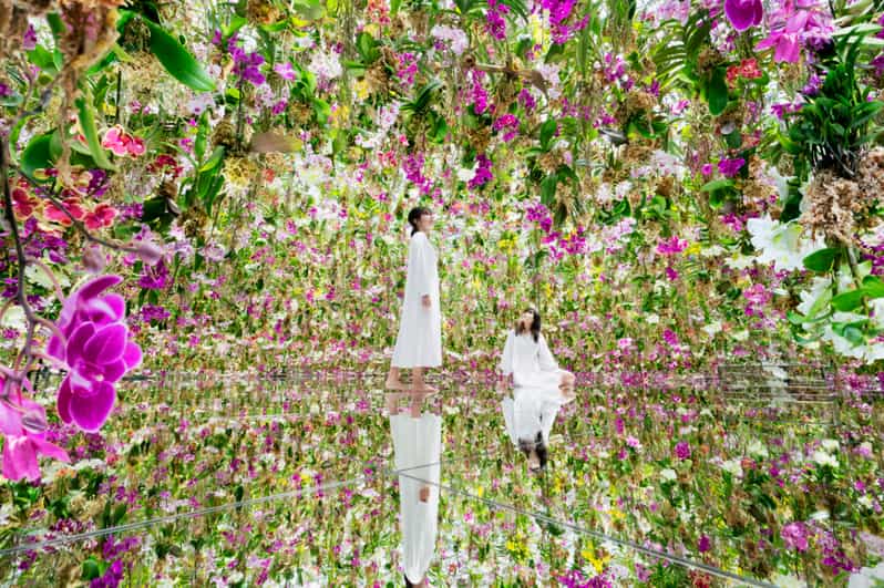 Tokyo: teamLab Planets TOKYO Digital Art Museum Entry Ticket - teamLab Planets TOKYO in plain terms: what you’re really paying for