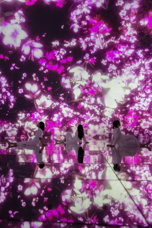 Tokyo: teamLab Planets TOKYO Digital Art Museum Entry Ticket - Booking this ticket: what will make it effortless