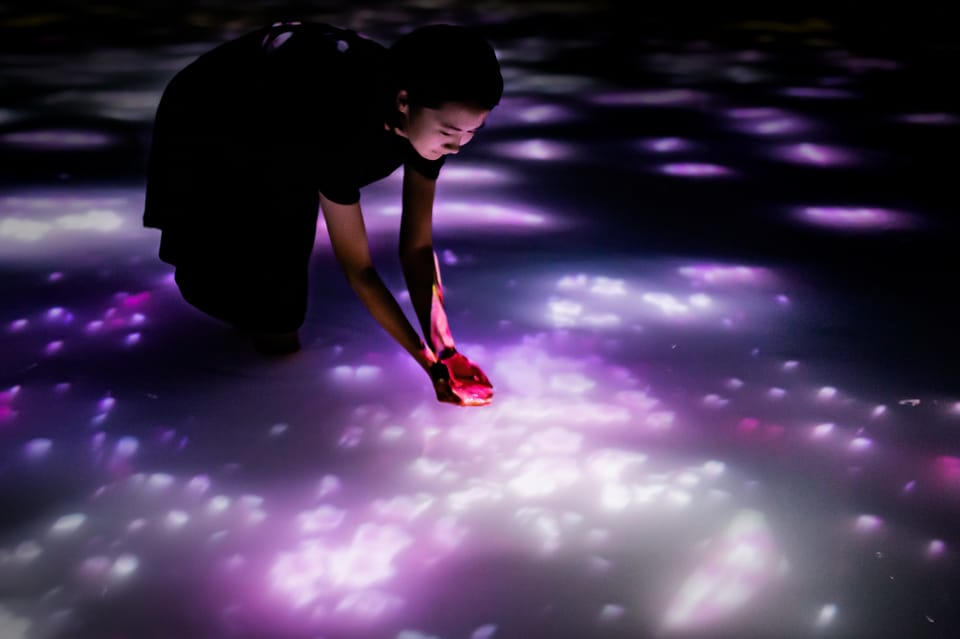 Tokyo: teamLab Planets TOKYO Digital Art Museum Entry Ticket - Price and value check: is $25 a good deal in Tokyo?