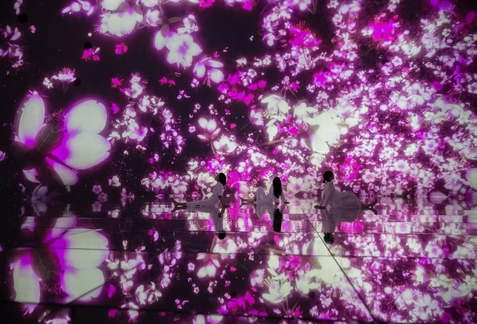Tokyo: teamLab Planets TOKYO Digital Art Museum Entry Ticket - Orchids, falling flowers, and those “pause and stare” scenes