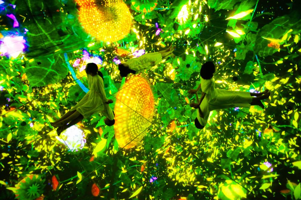 Tokyo: teamLab Planets TOKYO Digital Art Museum Entry Ticket - Sensory effects and health limits: who should reconsider this ticket