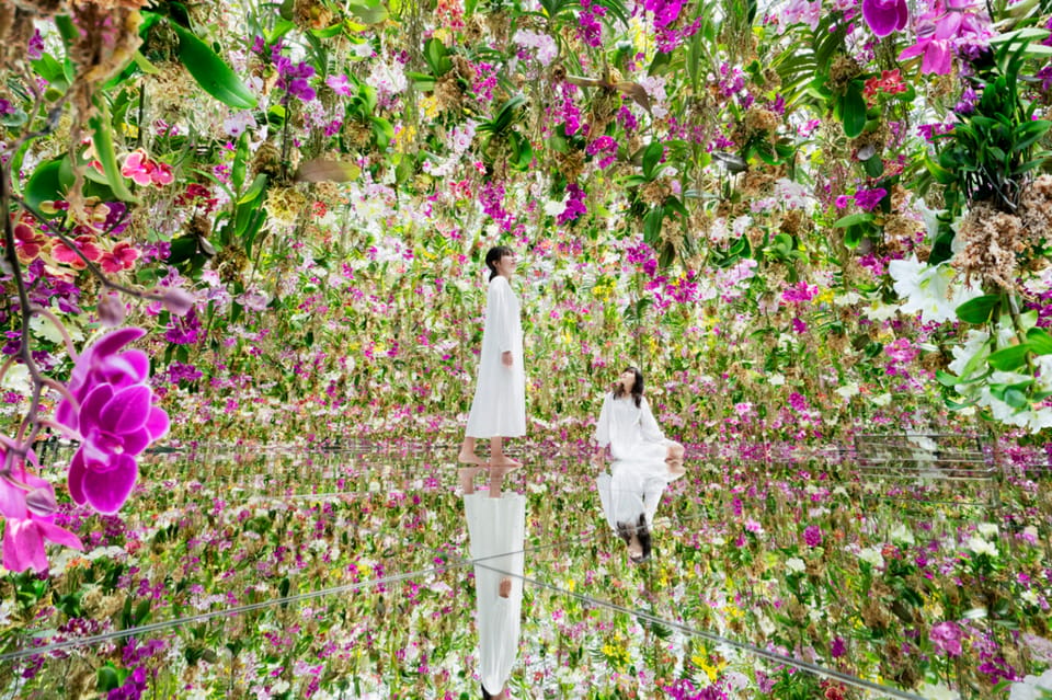 Tokyo: teamLab Planets TOKYO Digital Art Museum Entry Ticket - Timed entry, ID, and the voucher rule that trips people up