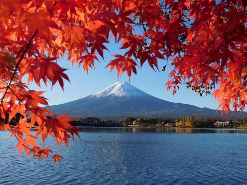 Tokyo:Mt.Fuji,Kawaguchiko Oishi Park,Arakurayama Sengen Park - Arakurayama Sengen Park and Chureito Pagoda: The Classic Fuji Frame