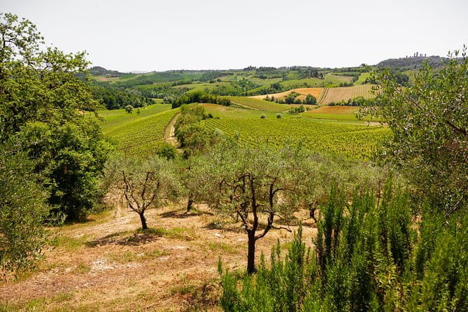 Tuscany Day Trip from Florence: Siena, San Gimignano, Pisa and Lunch at a Winery - Getting Started in Florence: Meeting at Santa Maria Novella