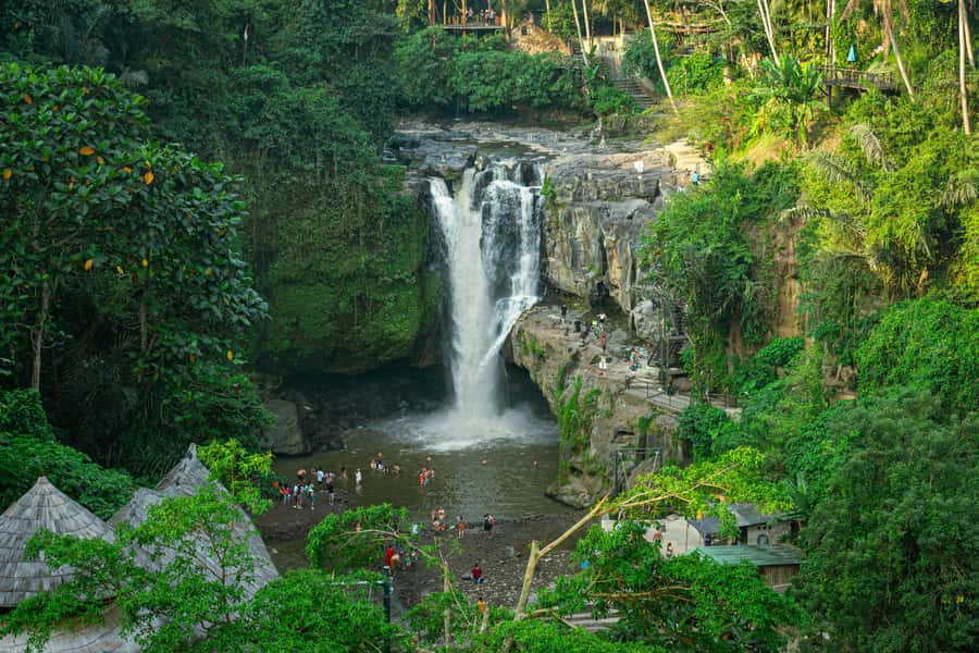 Ubud: All-Inclusive Tour with Optional Lunch - What to pack and what to watch for