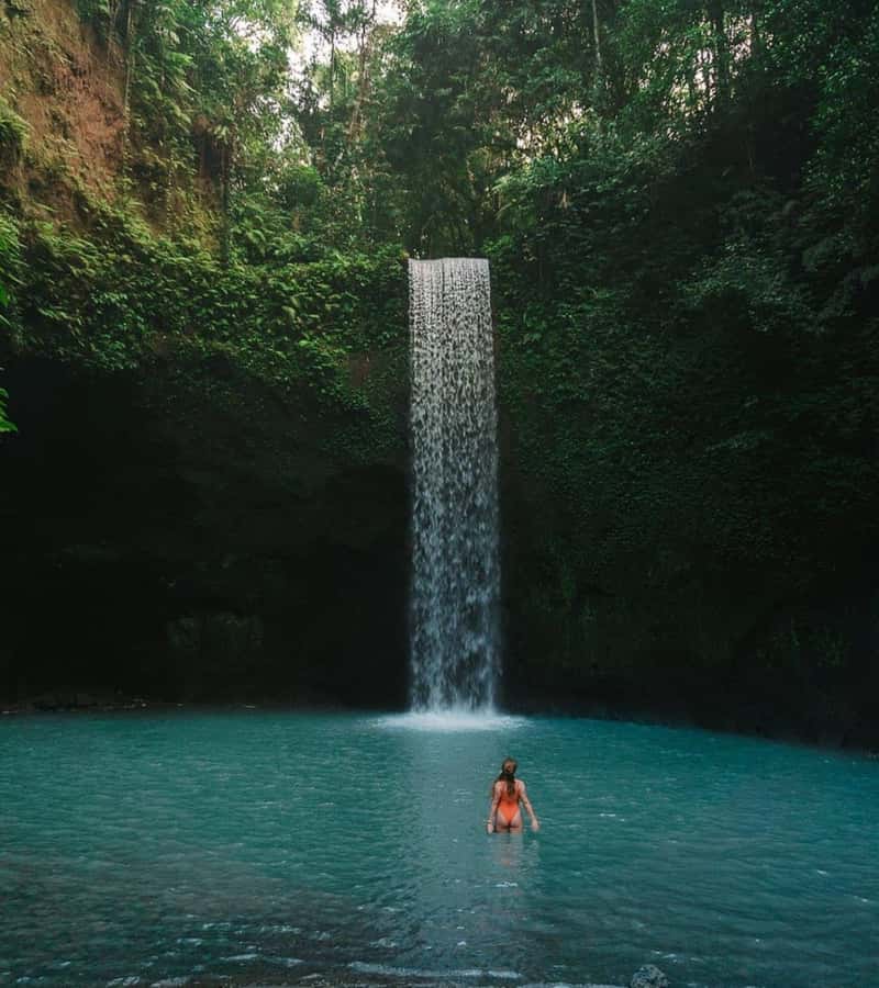 Ubud: Full-Day Rice Terrace, Monkey Forest & Waterfall - Tegalalang Rice Terrace: Iconic Bali Views With Real Steps