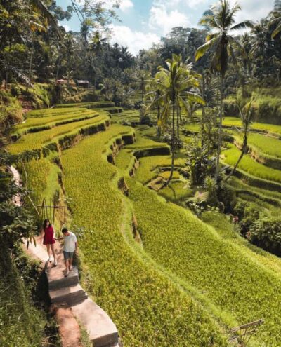 Ubud: Full-Day Rice Terrace, Monkey Forest & Waterfall - Sacred Monkey Forest Sanctuary: What to Watch (and How to Stay Comfortable)