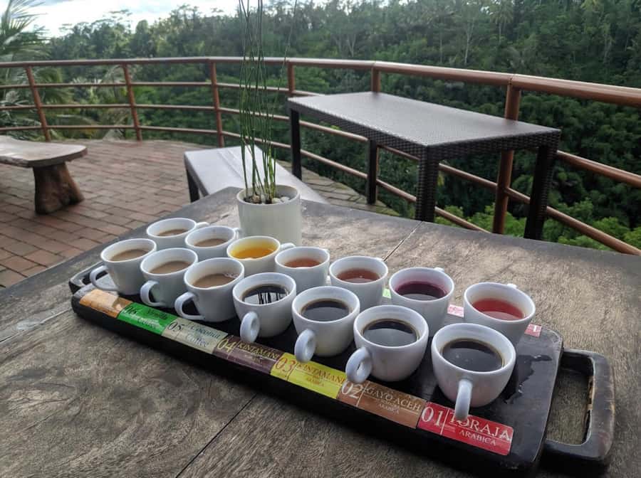 Ubud: Full-Day Rice Terrace, Monkey Forest & Waterfall - How the 9 Hours Actually Feel: Enough Time, Not Enough Laziness