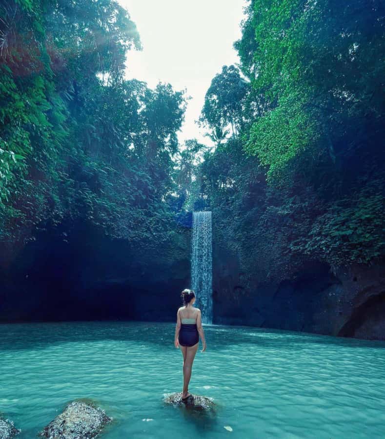 Ubud: Full-Day Rice Terrace, Monkey Forest & Waterfall - Price and Value: Why About $23 Can Work (If You Want “Best of Ubud”)