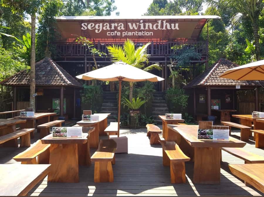 Ubud: Full-Day Rice Terrace, Monkey Forest & Waterfall - Who Should Book, and Who Should Skip This One
