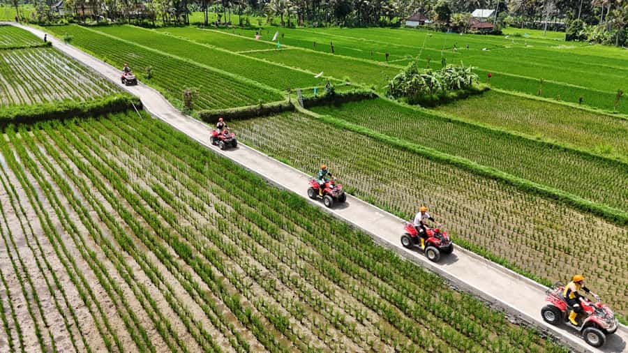 Ubud: Guided ATV Quad Bike Jungle Adventure with Lunch - Key Highlights Worth Getting Excited About
