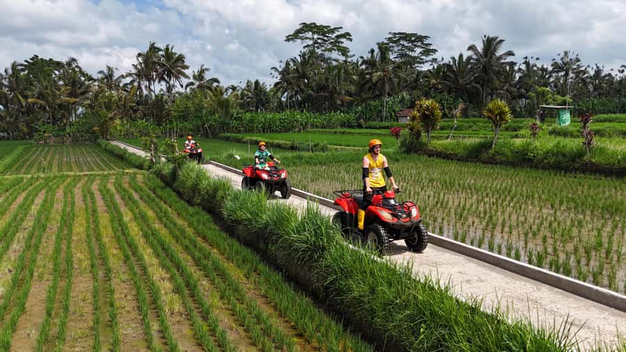 Ubud: Guided ATV Quad Bike Jungle Adventure with Lunch - Value for $22: Why This One Makes Sense