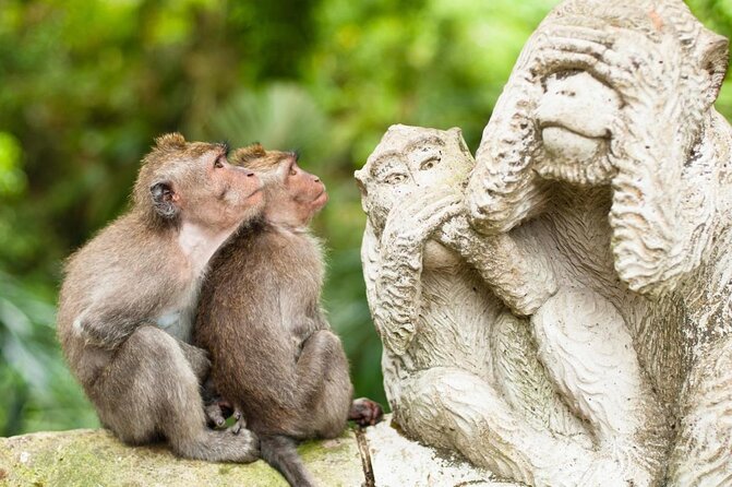 Ubud: Monkey Forest, Jungle Swing, Rice Terrace, and Water Temple - Key highlights worth marking on your map