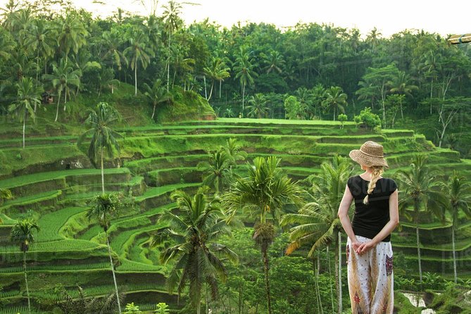 Ubud: Monkey Forest, Jungle Swing, Rice Terrace, and Water Temple - The smart reason this Ubud day trip works