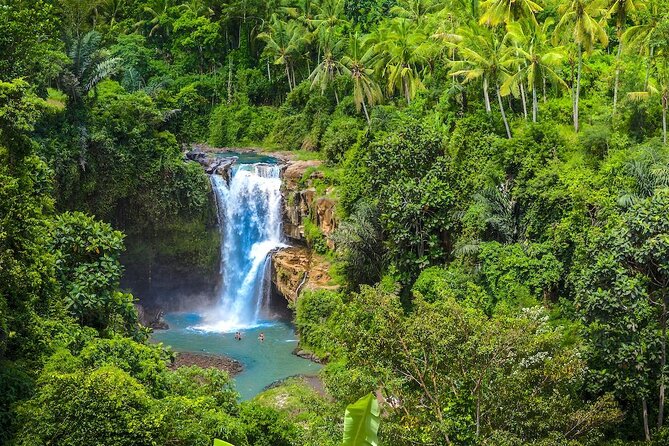Ubud: Monkey Forest, Jungle Swing, Rice Terrace, and Water Temple - Sacred Monkey Forest: enjoying wildlife without turning it into a circus