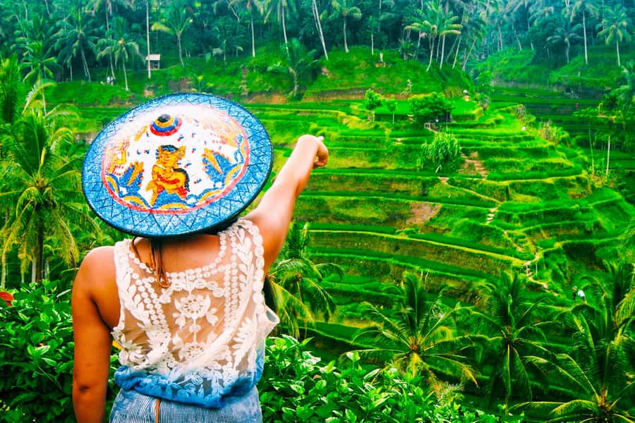 Ubud: Waterfall, Rice Terraces & Monkey Forest Private Tour - Quick hits from this Ubud day