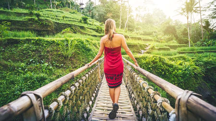 Ubud: Waterfall, Rice Terraces & Monkey Forest Tour - Tegenungan Waterfall: close-up nature time (with wet-spot planning)